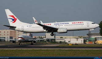 BOEING 737 800 B 1907 中国北京首都国际机场 Re 很不错的天气,18R一组