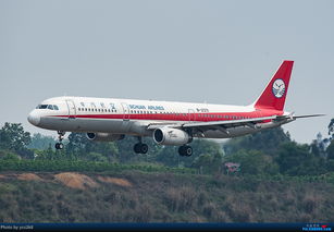 AIRBUS A321 200 B 2371 中国成都双流国际机场 Re CTU 二跑农庄